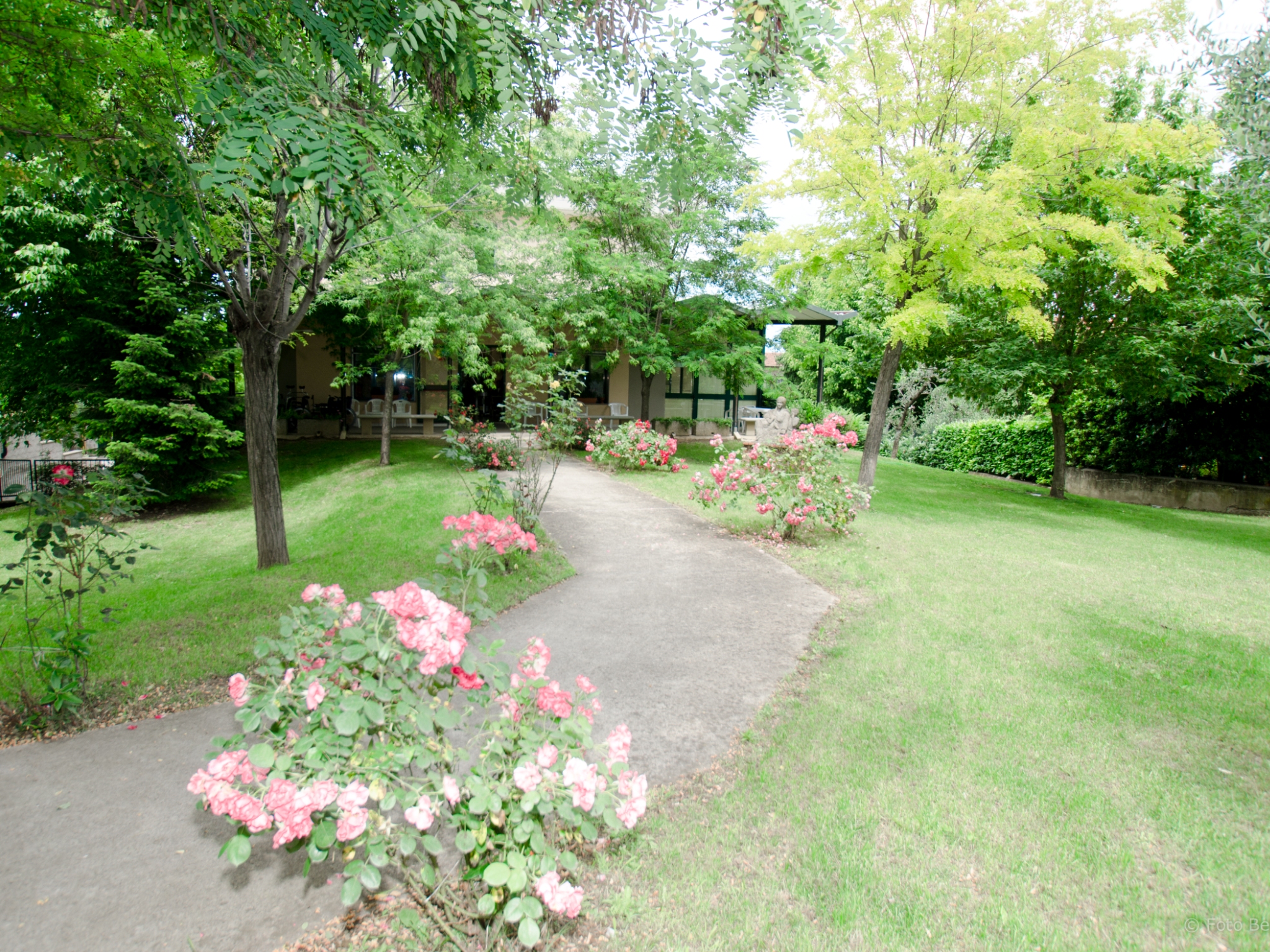 Casa accoglienza anziani di Comeana